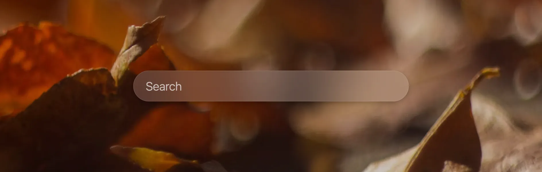 Round search bar in Bonjourr thanks to CSS