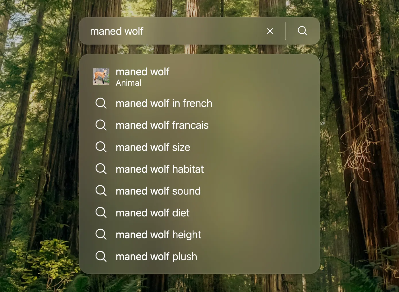 Showcasing the search engine widget with suggestions