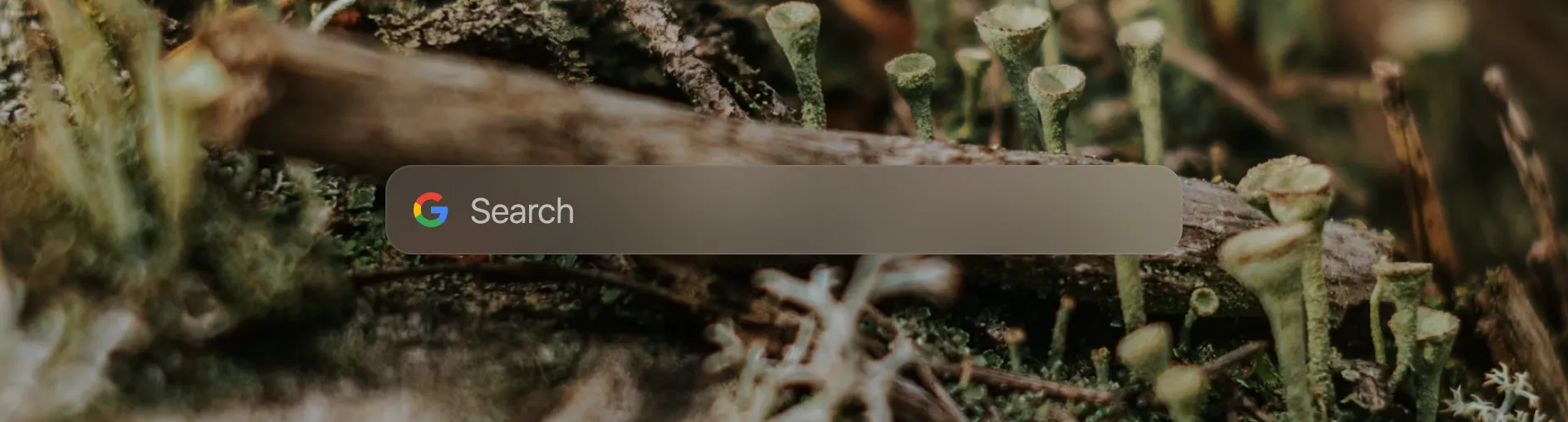 Searchbar with a Google logo